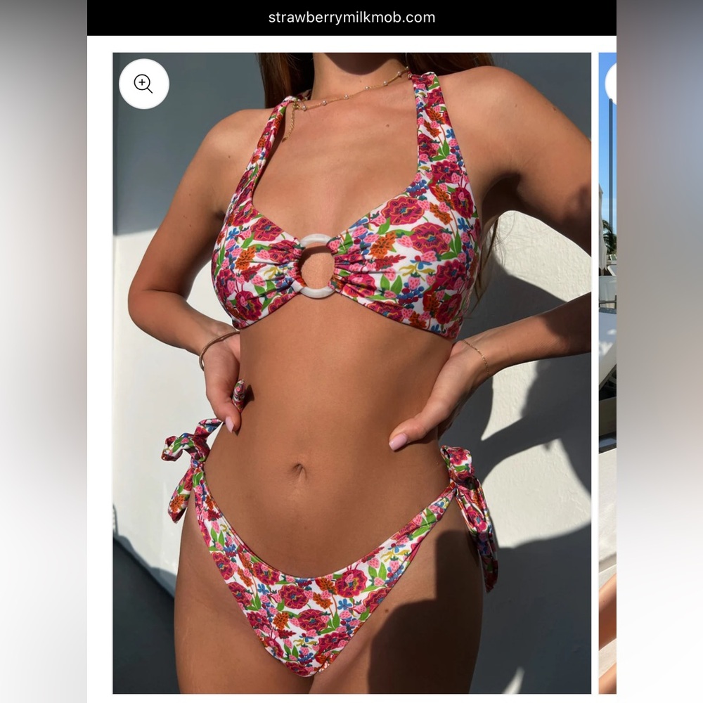 NWT Strawberry Milk Mob “Meet the Parents” bikini (top/bottom both size M)